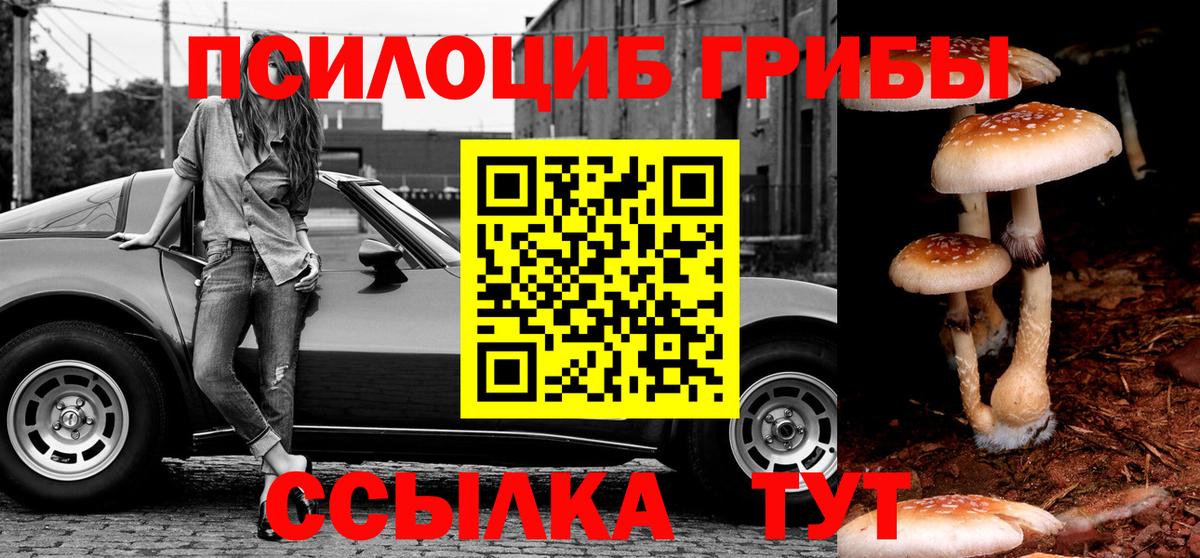Заринск  Галлюциногенные грибы GOLDEN TEACHER  Вход с VPN  Галлюциногенные грибы ЛСД 